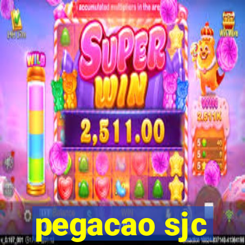 pegacao sjc